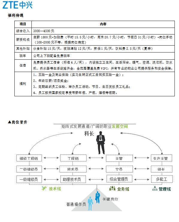 中兴通讯最新招聘动态与人才战略展望揭秘